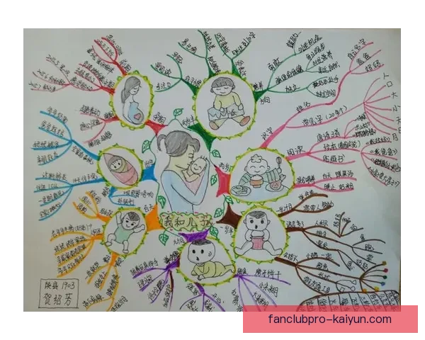 金玟哉青训经历解析与职业生涯的成长轨迹分析